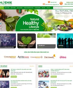 Theme WordPress công ty nano